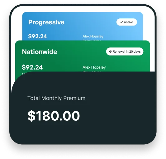 Insurance wallet illustration